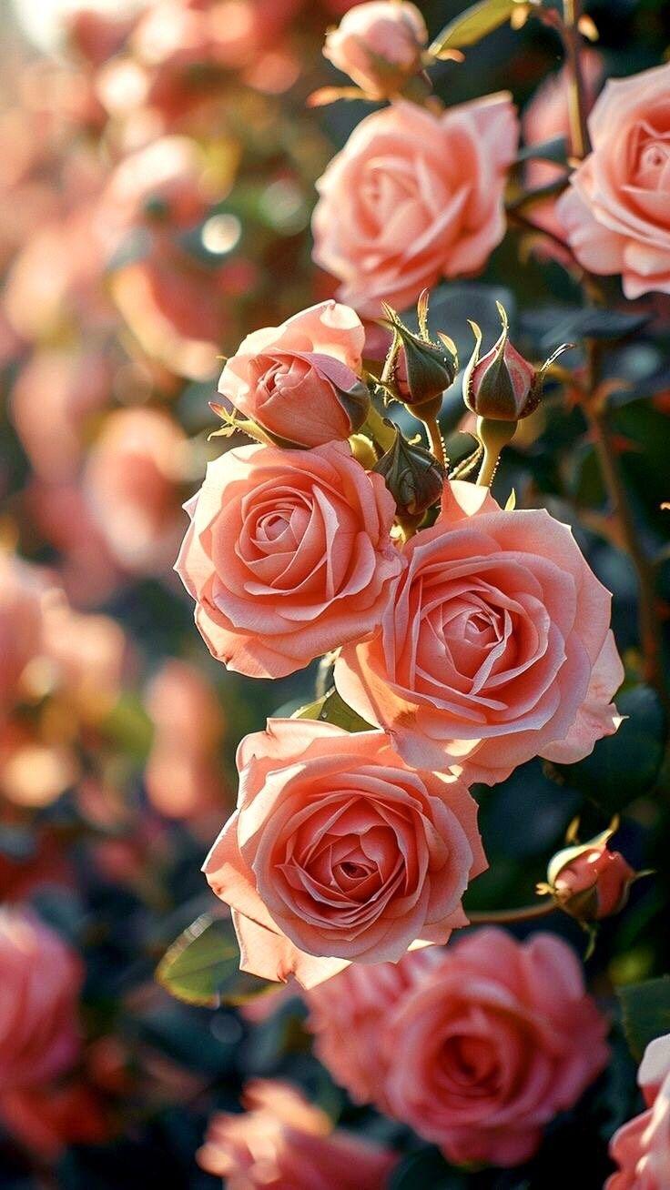 Corporate meeting room with carefully timed floral arrangements that maintain elegance throughout business hours